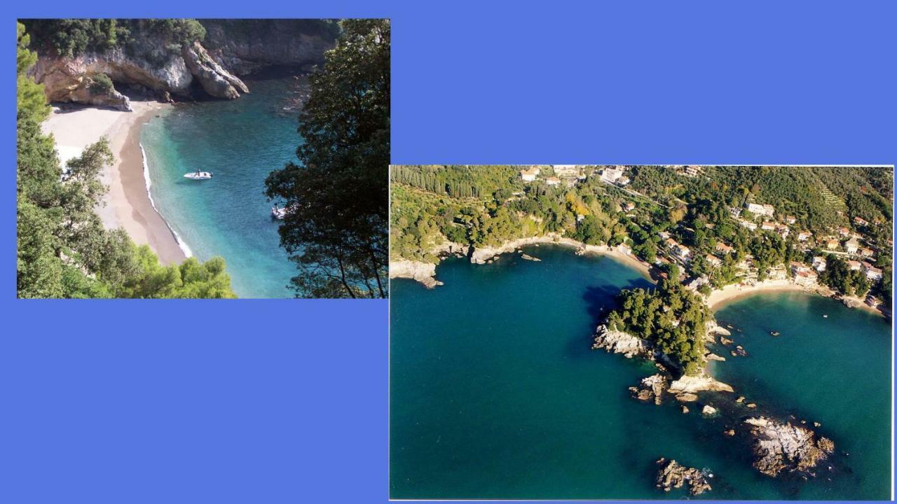 Lusso Accessibile E Servizi Lerici Dış mekan fotoğraf