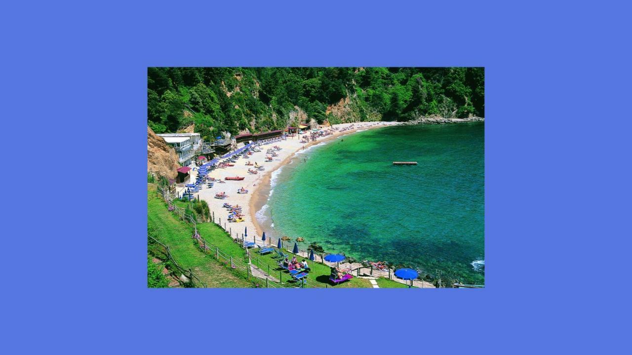 Lusso Accessibile E Servizi Lerici Dış mekan fotoğraf